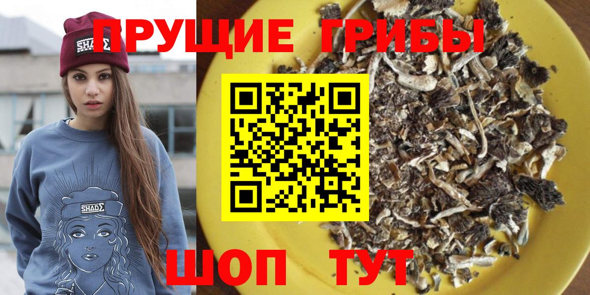 Черкесск  Галлюциногенные грибы мицелий  Псилоцибиновые грибы мухоморы  Вход с VPN 